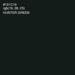 #131C19 - Hunter Green Color Image